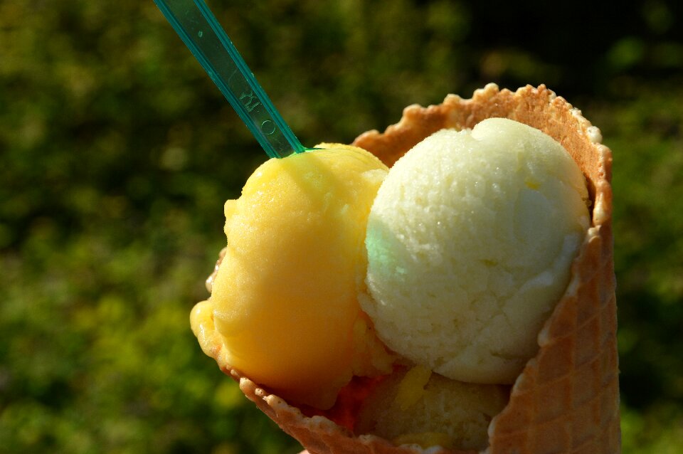 Sorbet tasting food