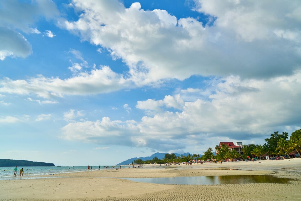 Ocean tropical wave