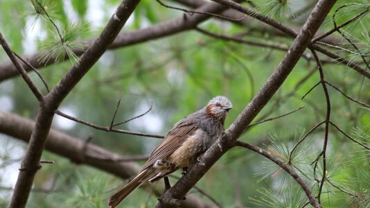 New wildlife outdoors