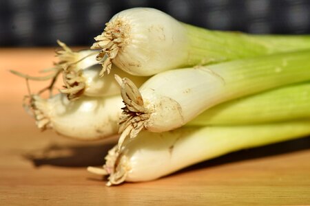 Vegetables plant food