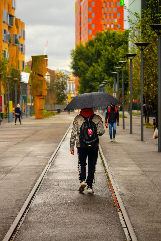 Rain wet street