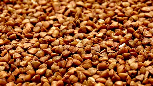 Cereals vegetarian nutrition