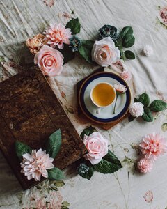 Background cup tea