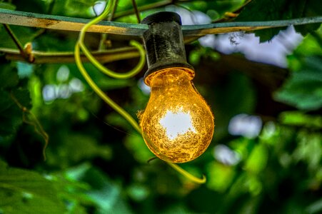 Lichterkette decoration green