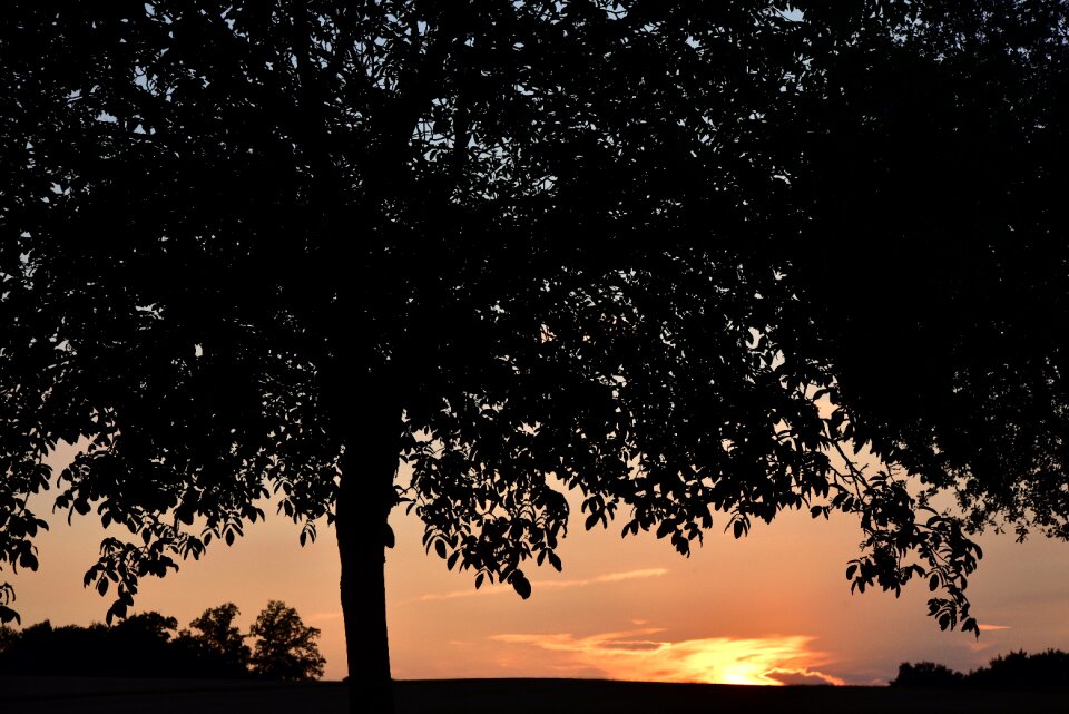 Evening dusk sunlight