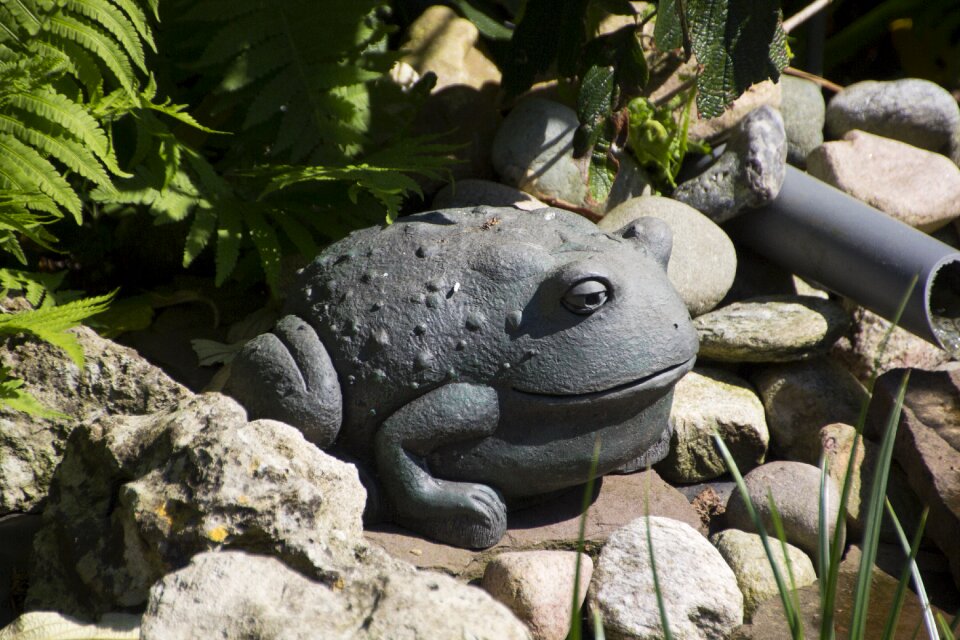 Gartendeko froschdeko decoration