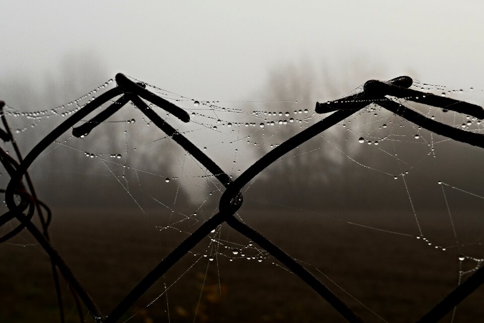 Metal spider web drops