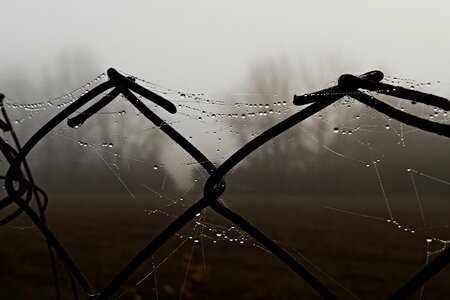 Metal spider web drops