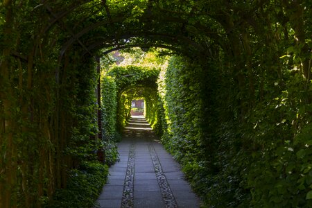 Old romantic archway photo