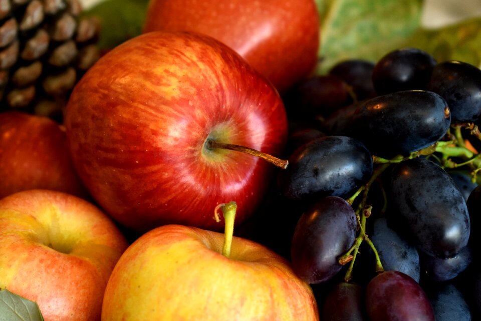 Food healthy autumn