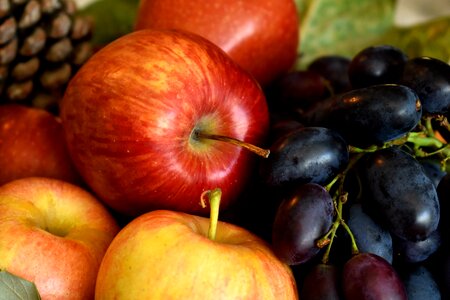 Food healthy autumn