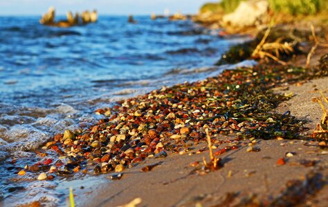 Most beach coast pebble photo
