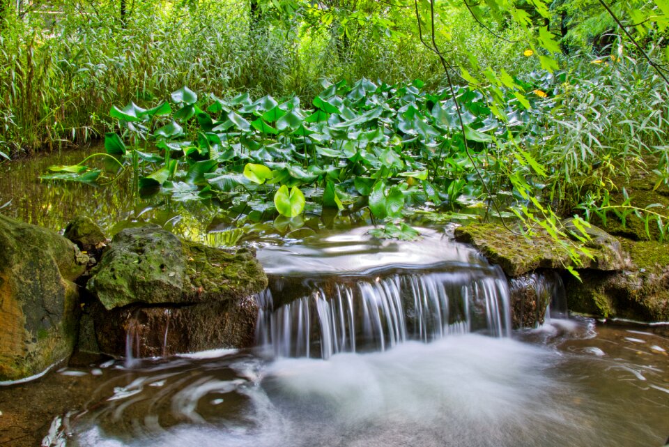 Nature bach waters
