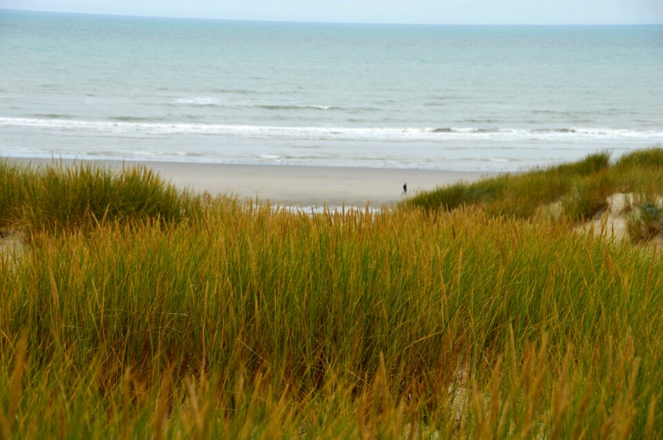Hauts de france resort cucq