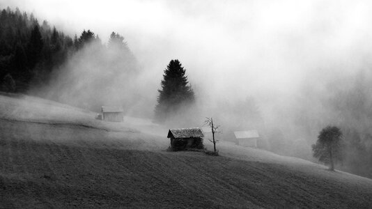 Nature fog black photo