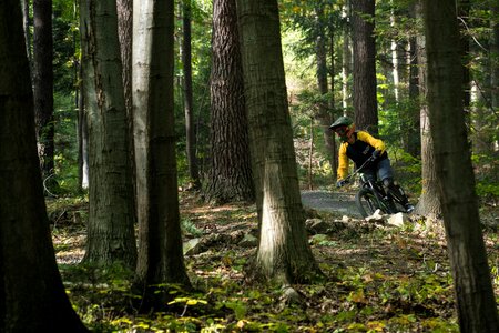 Forest extreme biker
