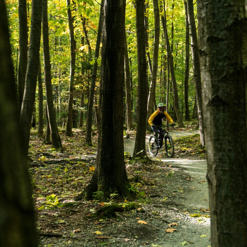 Forest extreme biker