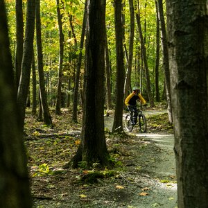 Forest extreme biker