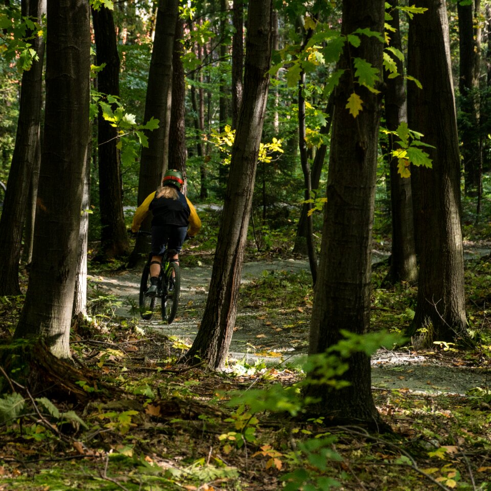 Forest extreme biker