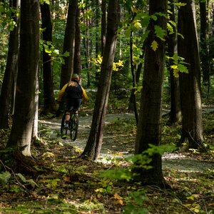 Forest extreme biker
