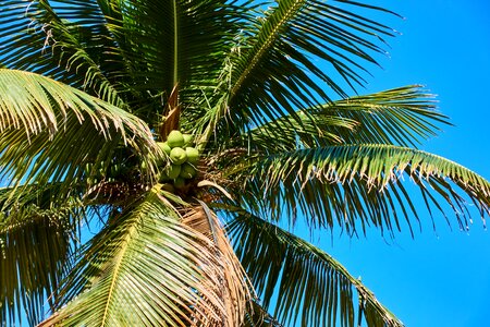Beach sun environment