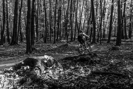 Forest extreme biker