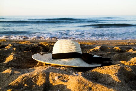 Landscape coast summer