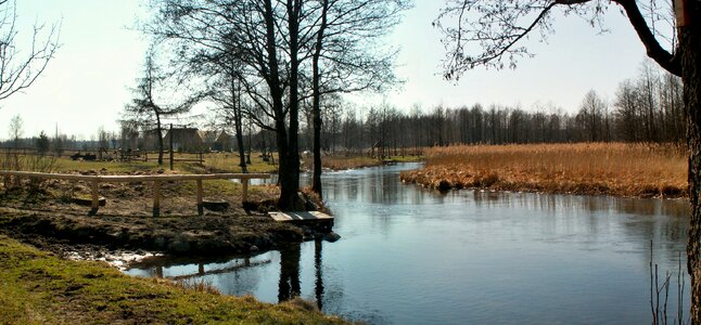 Nature black hangcha poland