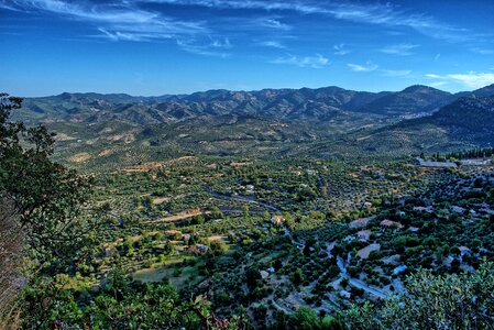 Spain panorama olive trees photo