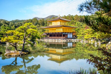 Gold trees lake