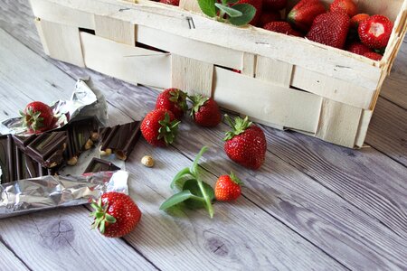 Dessert fruit bar of chocolate
