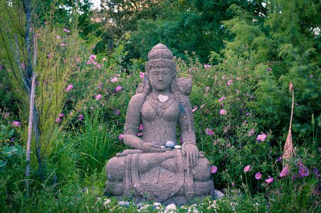 Nature buddha meditation