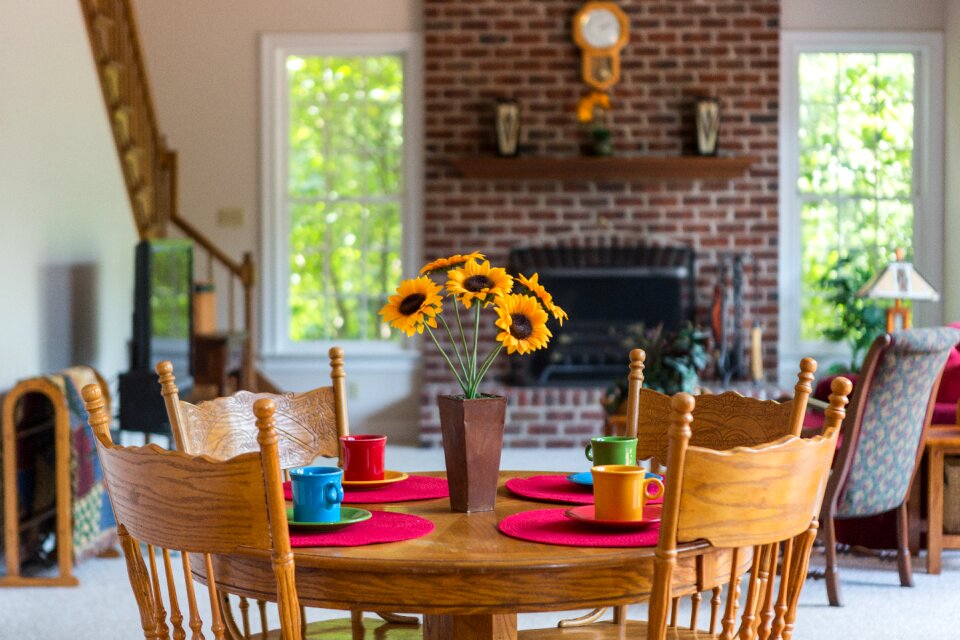 Furniture dining dish