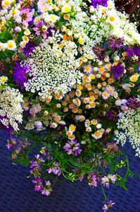 Summer bouquet nature romance