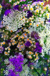 Summer bouquet nature romance