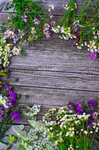 Summer bouquet nature romance