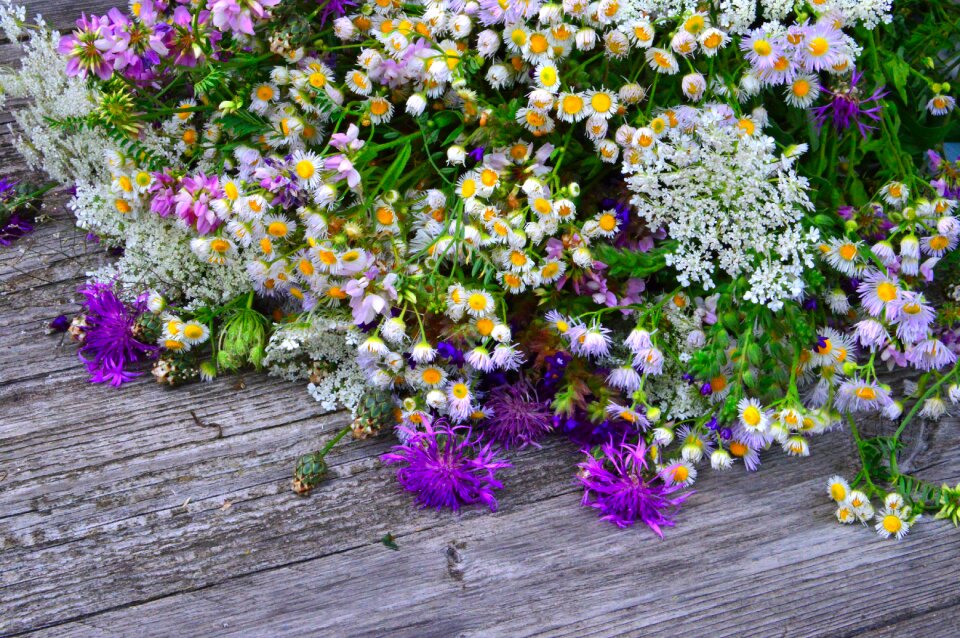 Summer bouquet nature romance