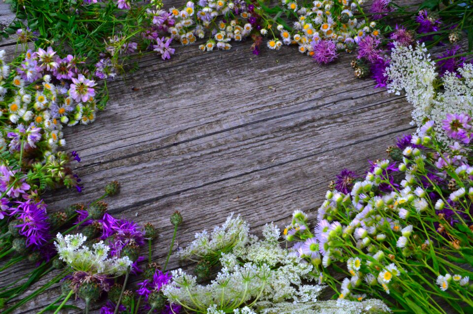 Summer bouquet nature romance