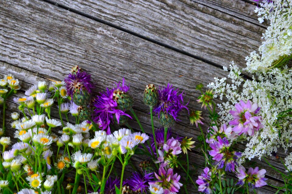 Summer bouquet nature romance