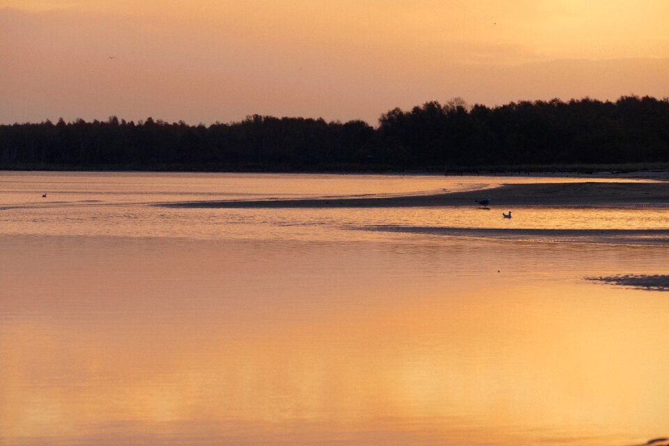 Sunset nature sky