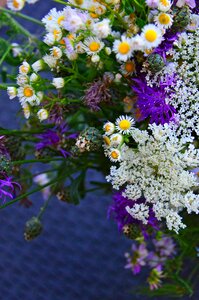 Summer bouquet nature romance photo