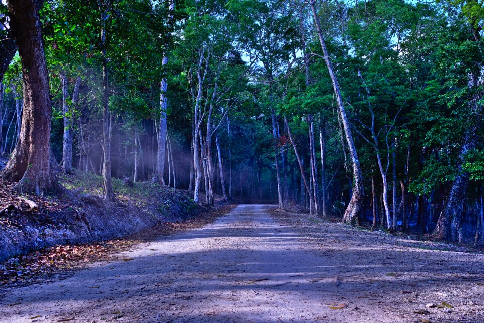 Road path misty photo