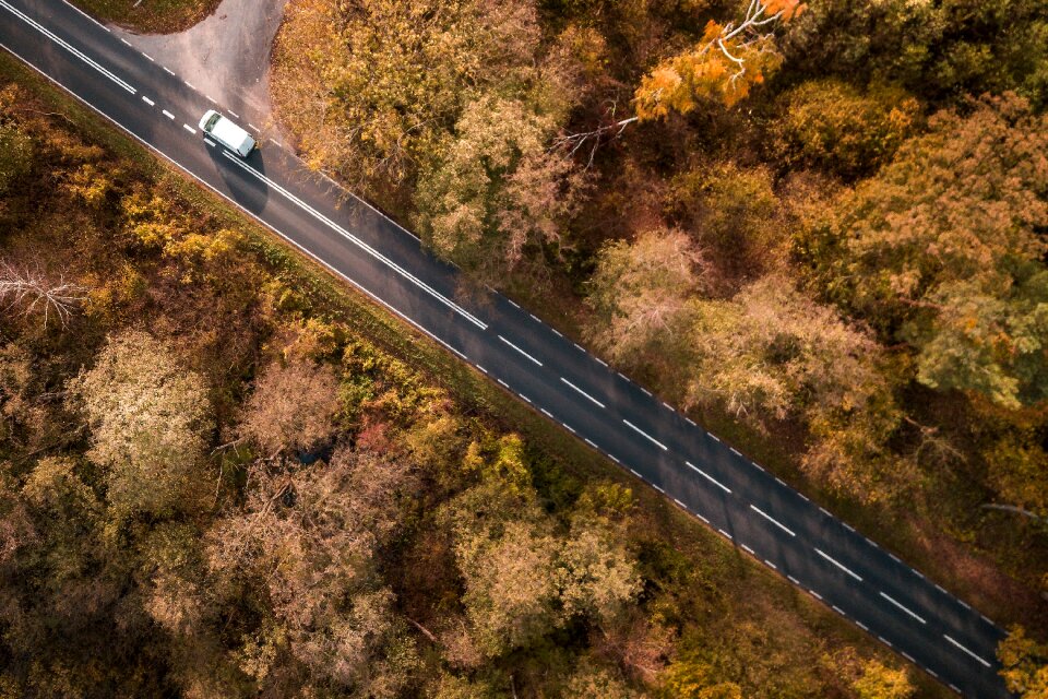 Landscape forests autumn