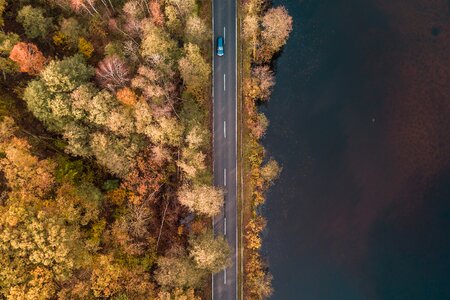 Landscape forests autumn