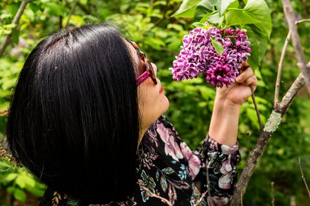 Spring deep purple lilac