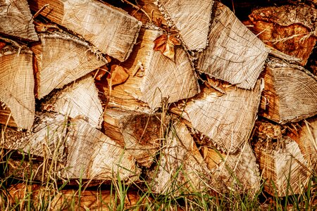Stacked up timber firewood photo