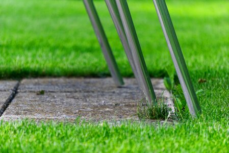 Green seat garden