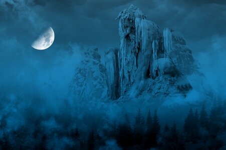 Mountains snow firs
