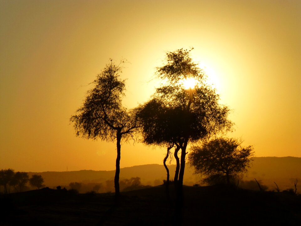 Desert evening Free photos