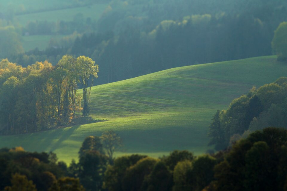 Nature rural summer